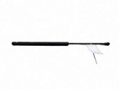 Tailgate/trunk strut/damper
