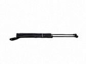 Tailgate/trunk strut/damper