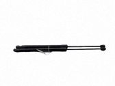 Tailgate/trunk strut/damper