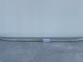 Rear sill (body part)
