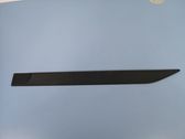 Listón embellecedor de la puerta delantera (moldura)