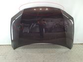 Motorhaube