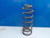 Rear coil spring