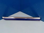 Rear door trim (molding)