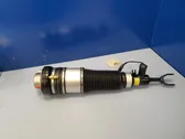 Front air suspension shock absorber