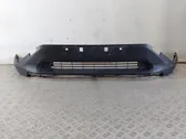 Front bumper lower grill