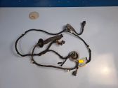 Front door wiring loom