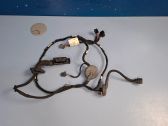 Front door wiring loom