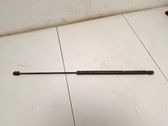 Front bonnet/hood damper/strut