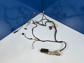 Front door wiring loom