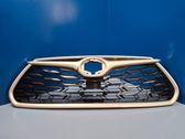 Front bumper upper radiator grill