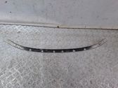 Front bumper support beam
