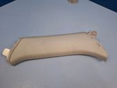 (C) pillar trim