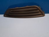 Front fog light trim/grill