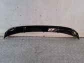Front bumper lip