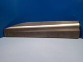 Front door trim (molding)