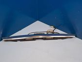 Trunk door license plate light bar