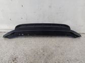 Front bumper lip