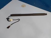 Tailgate/trunk strut/damper