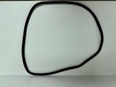 Rear door rubber seal (on body)
