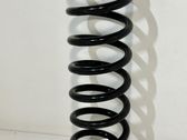 Rear coil spring