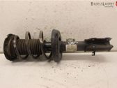 Front shock absorber with coil spring