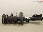 Front shock absorber with coil spring