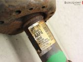 Front shock absorber with coil spring
