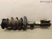 Front shock absorber with coil spring