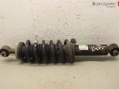 Rear shock absorber/damper