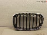 Grille inférieure de pare-chocs avant