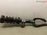 Front shock absorber with coil spring