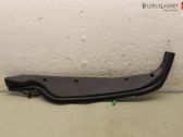 Tailgate/trunk strut/damper