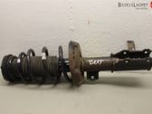 Front shock absorber with coil spring