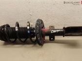 Amortiguador delantero con muelle espiral