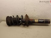 Front shock absorber with coil spring