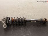 Stoßdämpfer hinten