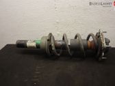 Front shock absorber with coil spring