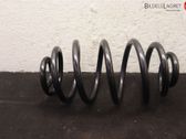 Rear coil spring