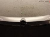 Number plate light
