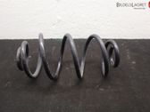 Rear coil spring
