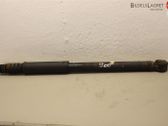 Rear shock absorber/damper