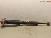 Rear shock absorber/damper