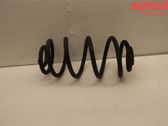 Rear coil spring