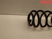 Rear coil spring
