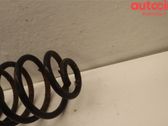 Feder hinten