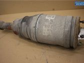 Rear shock absorber/damper