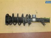Front shock absorber with coil spring