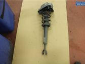 Amortiguador delantero con muelle espiral