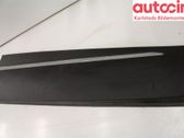 Moulure de porte avant